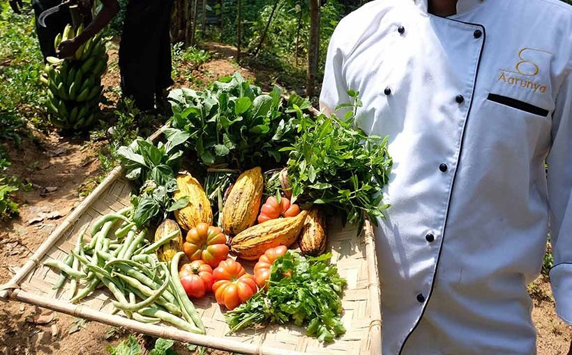 Aarunya chef holding a woven tray of organic vegetables and herbs from the home garden