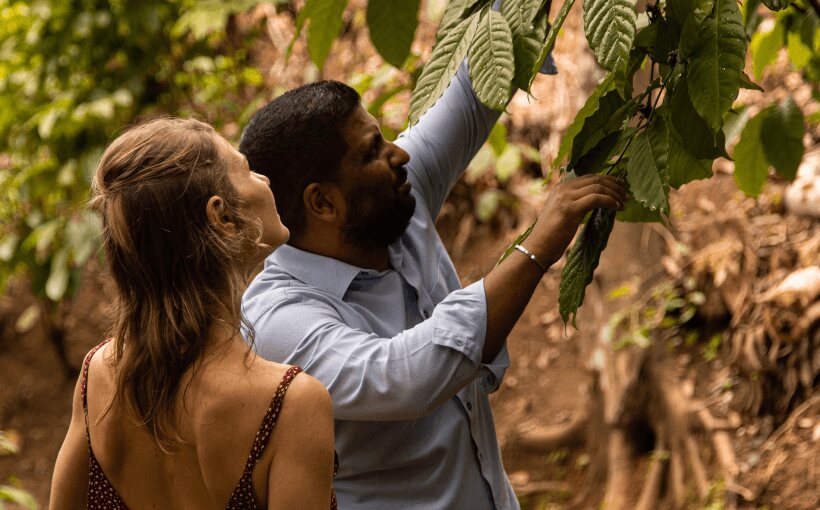 Guide showing a guest the leaves of a crop during a garden tour at Aarunya