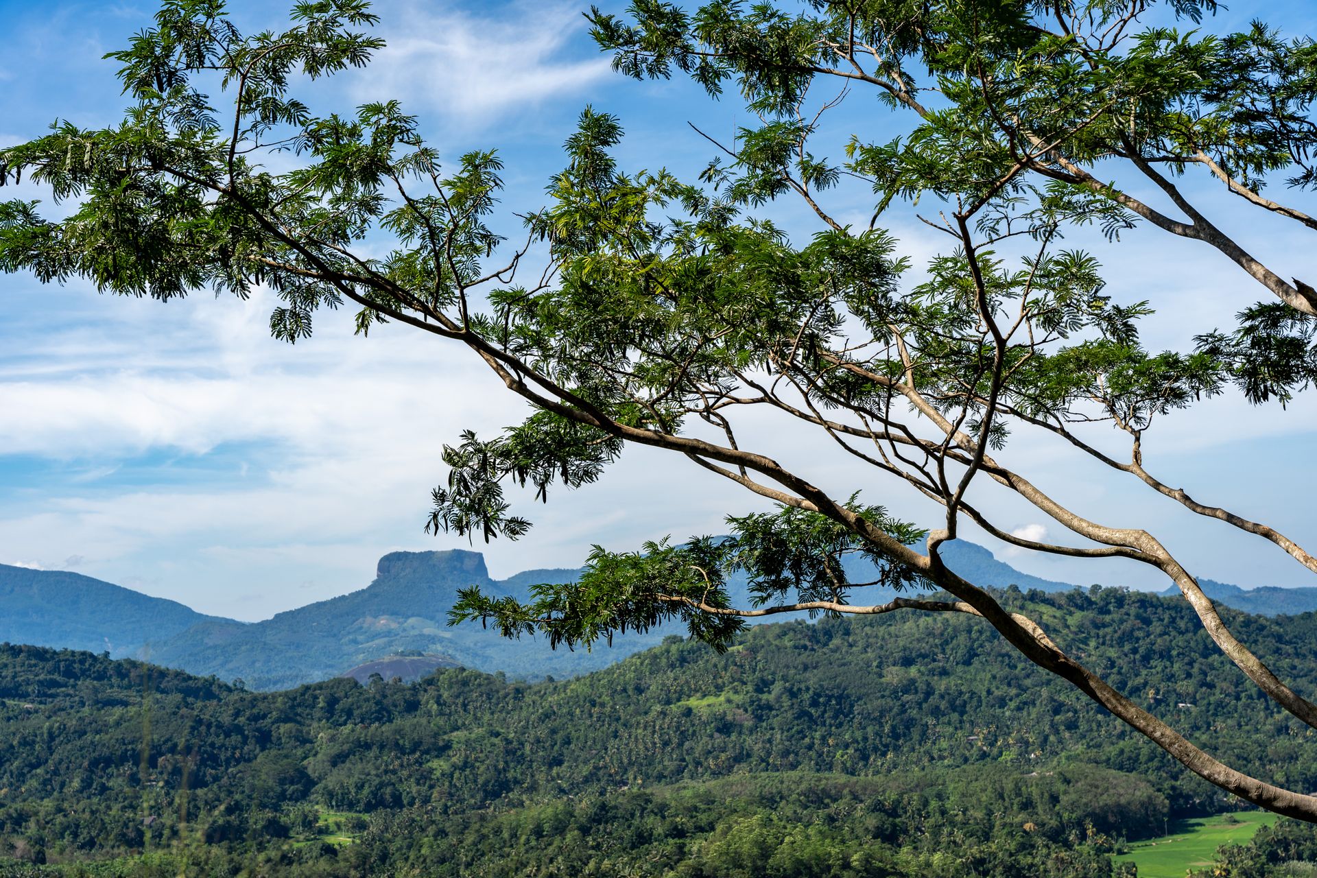 The Knuckles Mountain Range under clear skies in Sri Lanka's Central Province