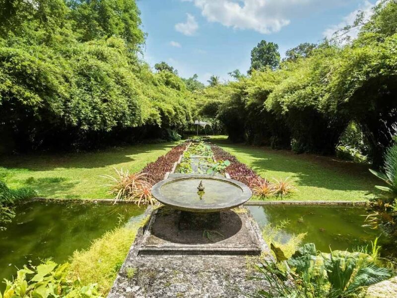 ccv-brief-garden ccv-brief-garden