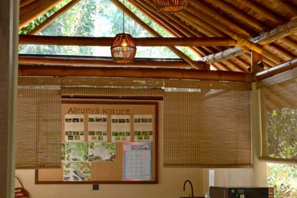 nature-pavillion